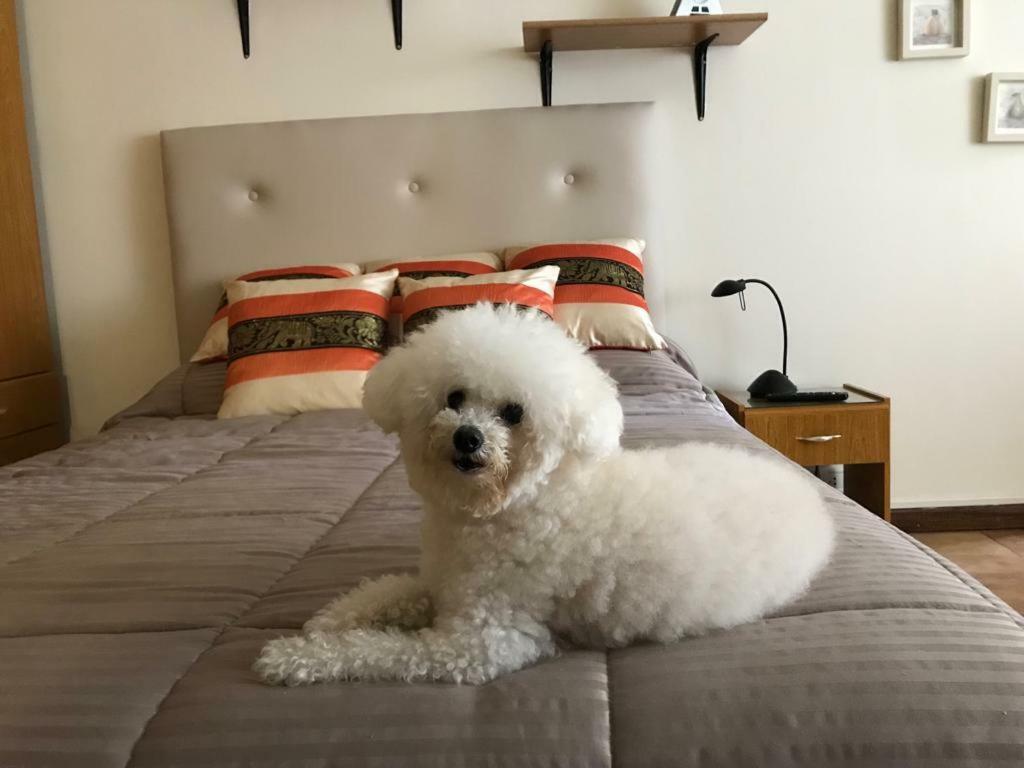 Ruffus's Apple Mardel Apartment